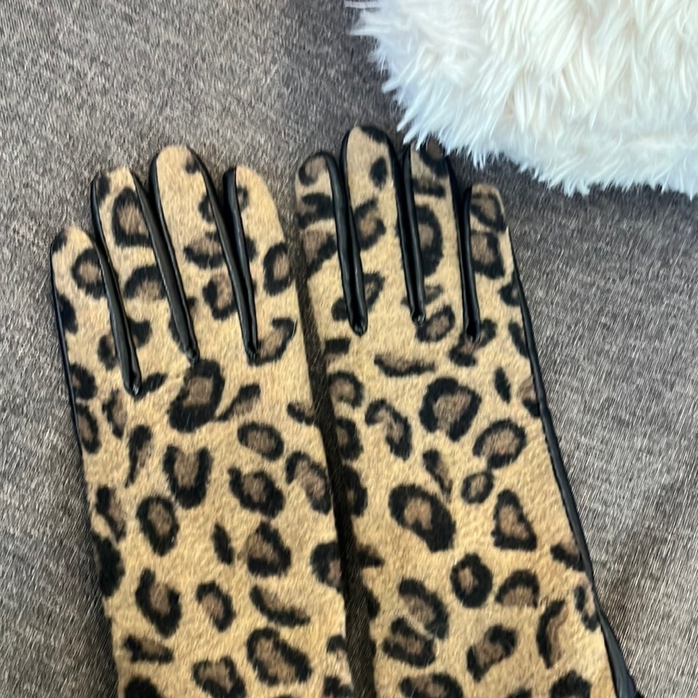 Gloves